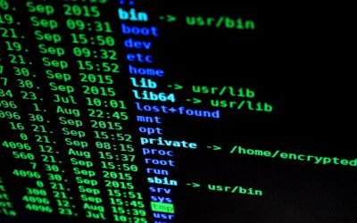 Vulnerabilidades en Acrobat y Excel podrían ejecutar código arbitrario